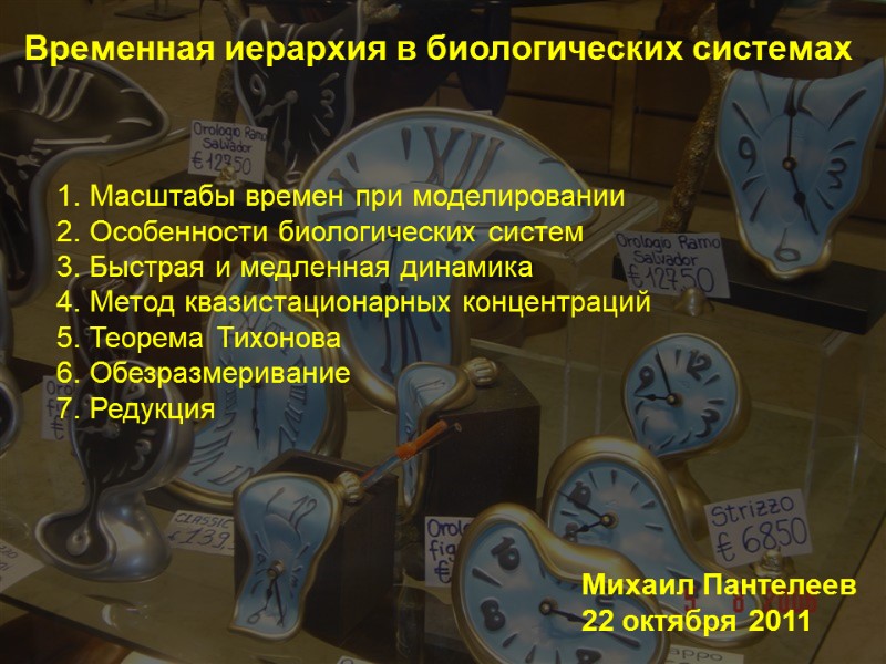 Временная иерархия в биологических системах Михаил Пантелеев 22 октября 2011 Масштабы времен при моделировании